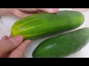 Tomas Agua de Pepino cada día, y aprovecha las propiedades y beneficios